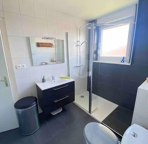 Idéal Pour Un Alsacien En Amoureux Colmar